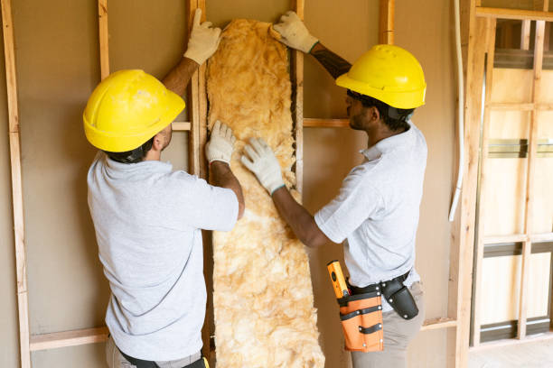 Best Commercial Insulation Services  in Bellevue, IA